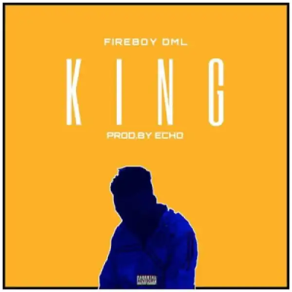 Instrumental: Fireboy DML - King
